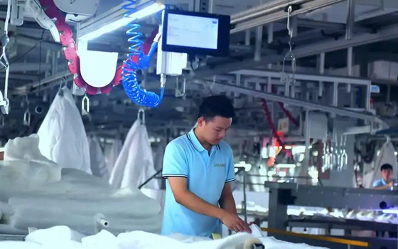 案例分享